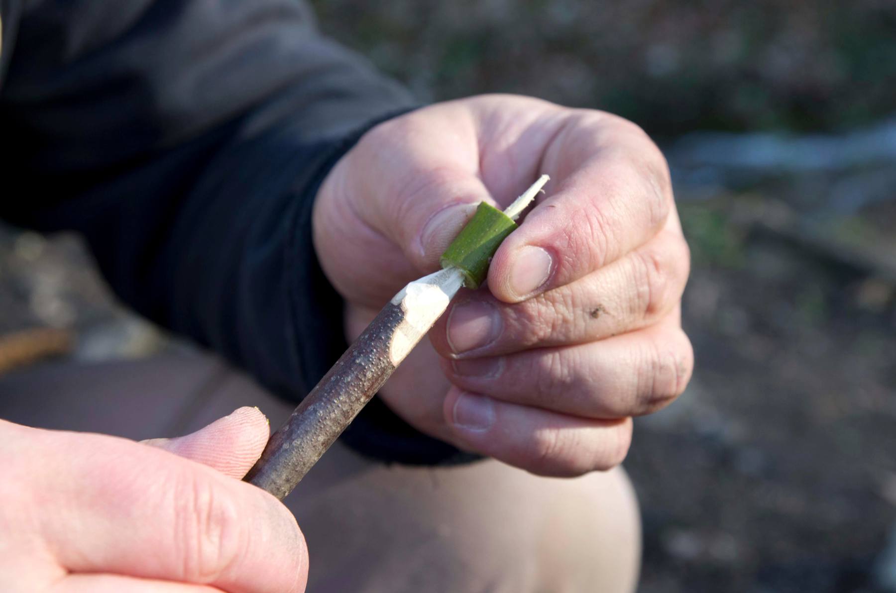 Removing the core of a stick with a skewer