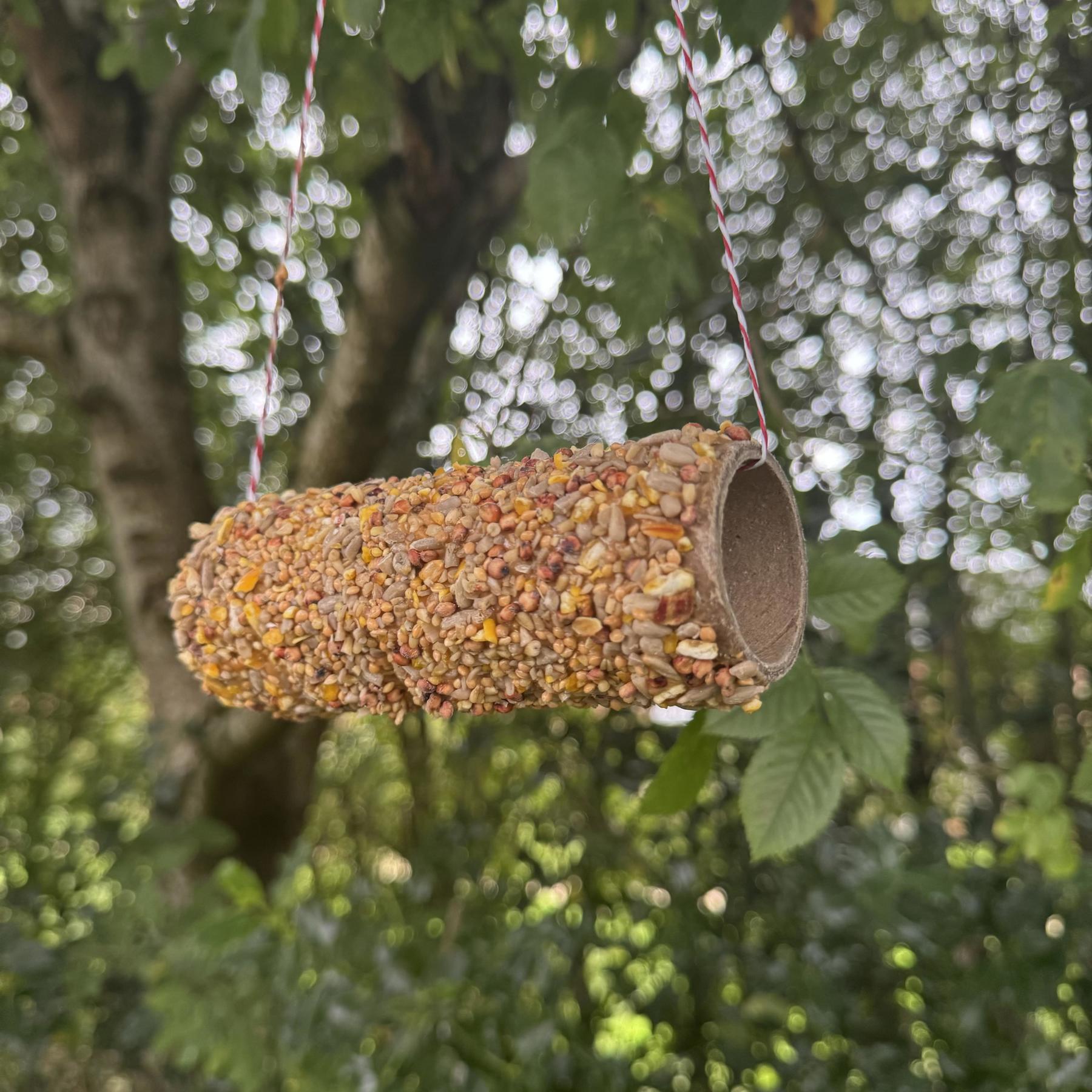 Toilet roll bird feeder. A toilet roll covered in peanut butter with bird seed added. The twine goes through the toilet tube and it's hanging in a tree. 