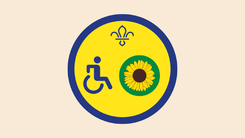 Beavers Disability Awareness