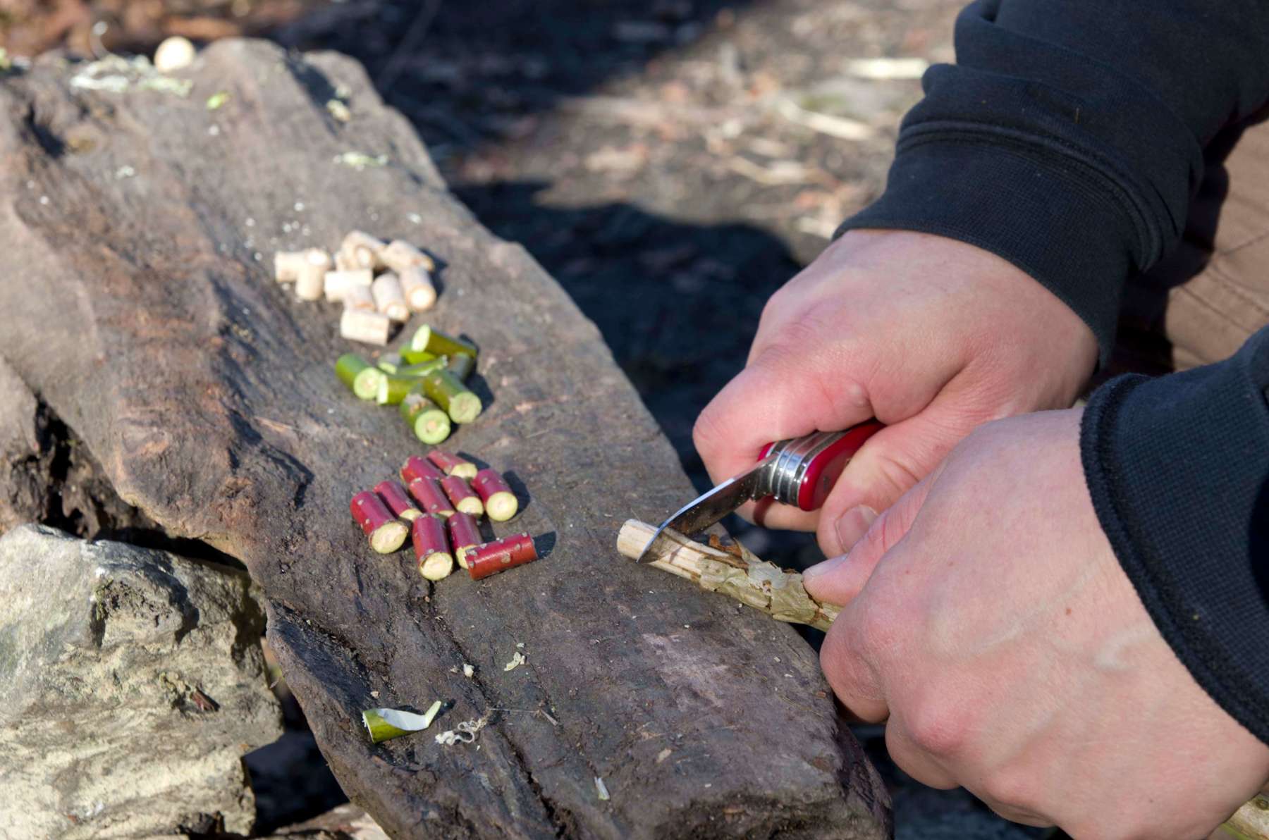 Hands cutting sticks of different colour into short segments with a penknife