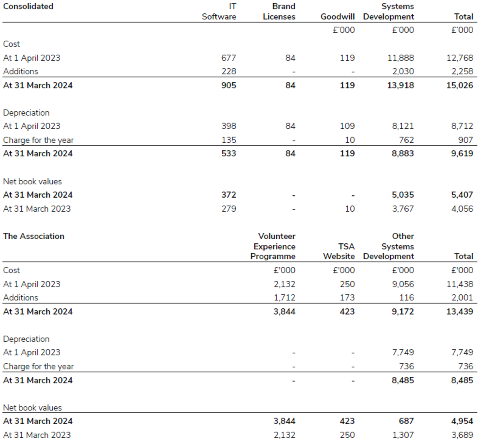 Intangible fixed assets for Scouts in 2023/24.