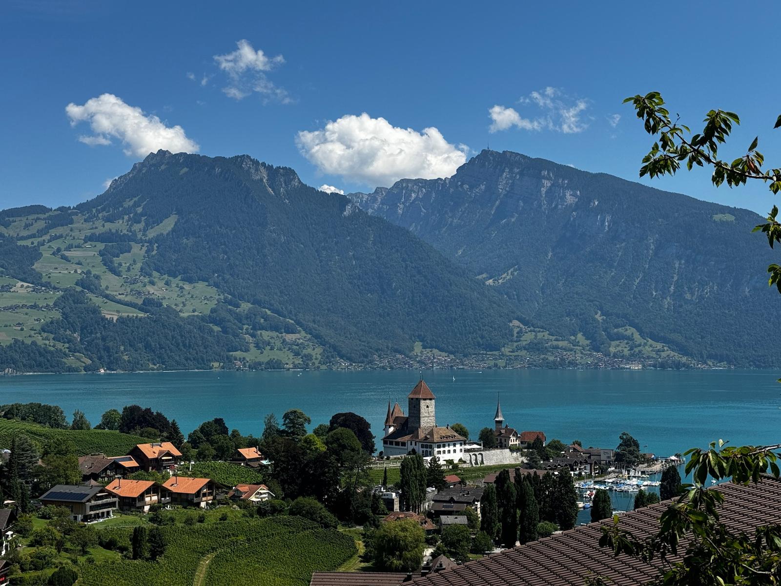 A small lakeside village in Switzerland across from a green mountain sloping into the water.