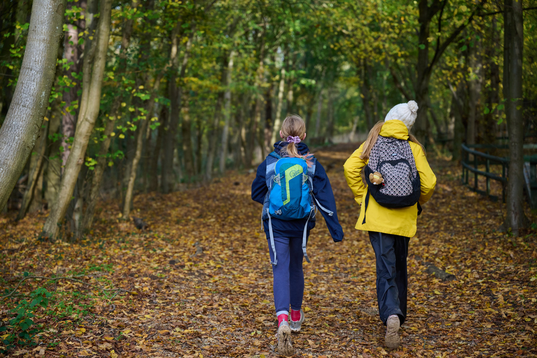Two Scouts are walking on brown leaves with backpacks on their. back. One Scout on the right is wearing a yellow coat and a hat, and the other is wearing a navy coat and trousers. We can see the back of them as they walk through trees in a forest. 