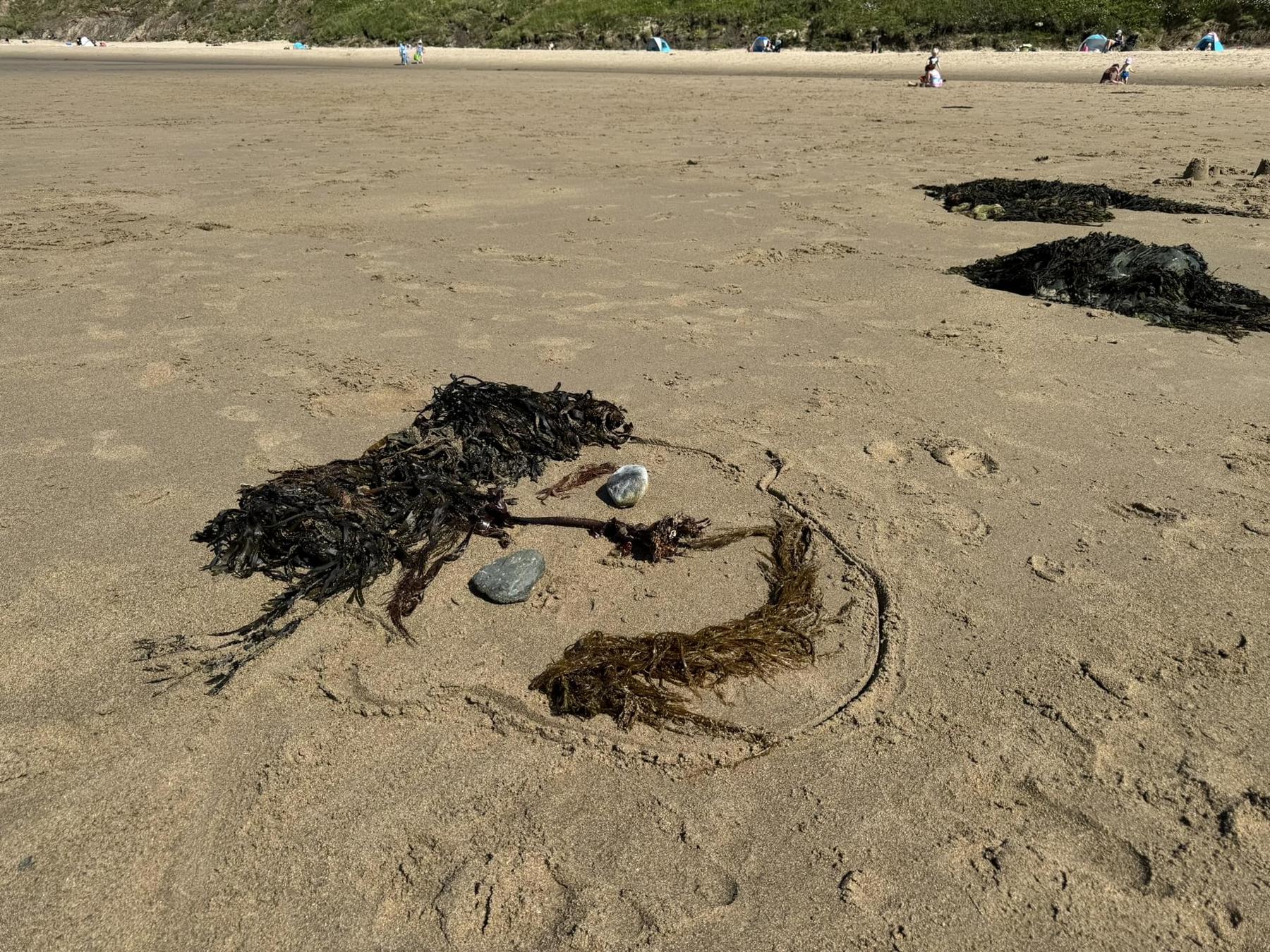 A face on a beach made out of rocks for eyes, seaweed for hair, mouth and nose, and a drawn face shape in the sand