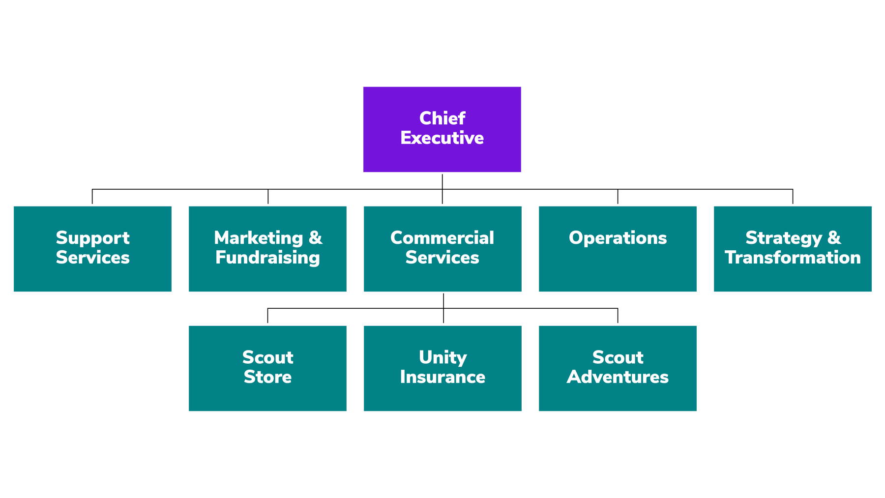 Diagram shows organisational structure of Scouts 