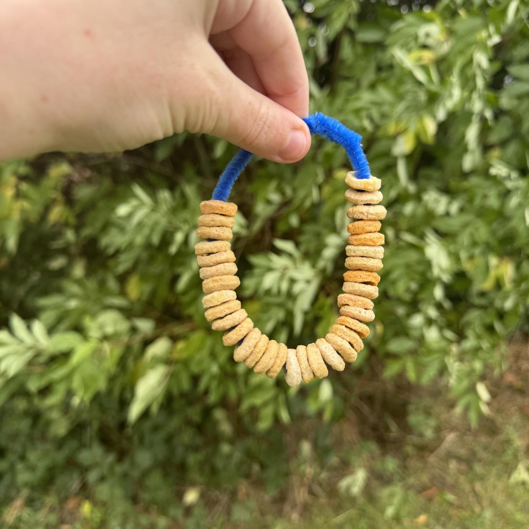 A hand is holding a pipe cleaner that has hoop cereal threaded onto it. A green bush is in the background